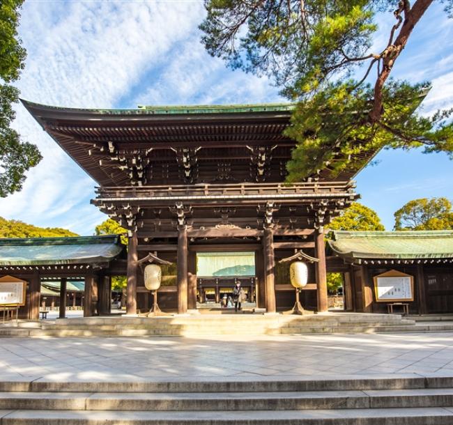 寵愛東京｜台灣虎航｜豐洲千客萬來.小江戶川越～冰川神社.明治神宮四日｜一日自由活動｜回程贈行李5公斤｜高雄來回