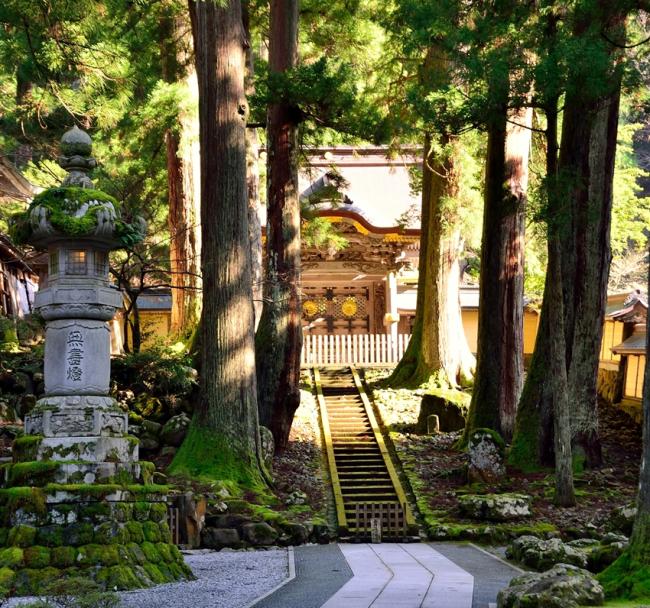 聰明玩北陸｜夢幻合掌村.玉兔之里.松本城.兼六園.永平寺.溫泉.OUTLET六日｜升等甜蝦吃到飽