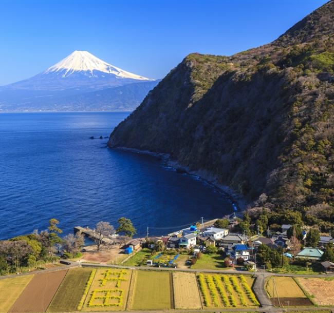 日本伊豆半島風情遊~東京、伊東、稻取、修善寺、堂島、三島6日