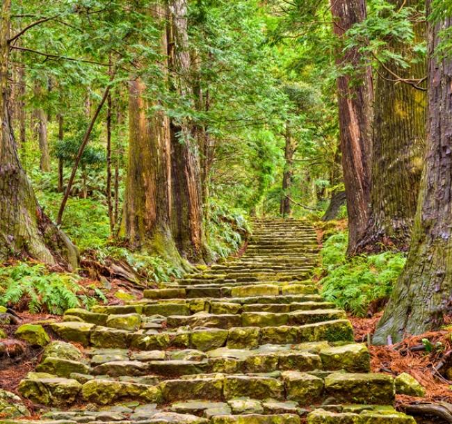 每月一物名古屋｜朝聖之路～南紀熊野古道.賞鯨.海女現烤海鮮.伊勢龍蝦.英虞灣遊船.三晚溫泉五日｜名古屋萬怡