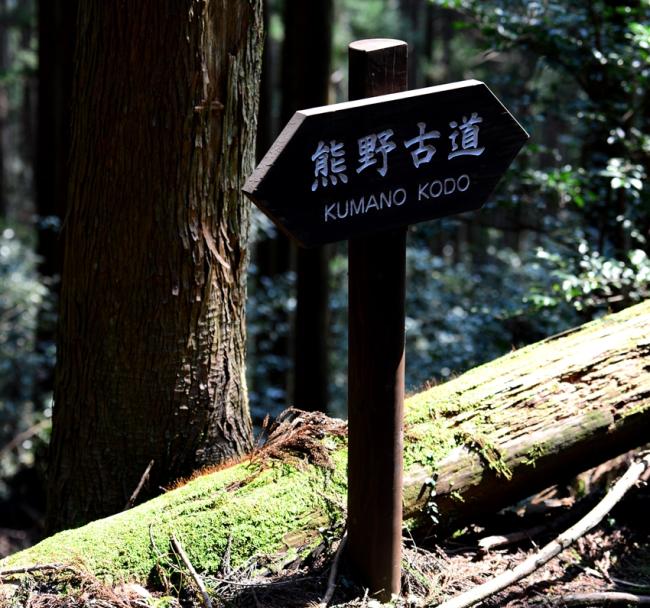 日本│朝聖之路│熊野古道名湯美食健行5日(含小費)(含證書)