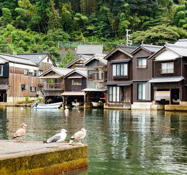 2025年日本世界博覽會│大阪京都旅遊│森之美山町合掌村,海之天橋立,伊根舟屋,茶之平等院五日│保住一晚溫泉