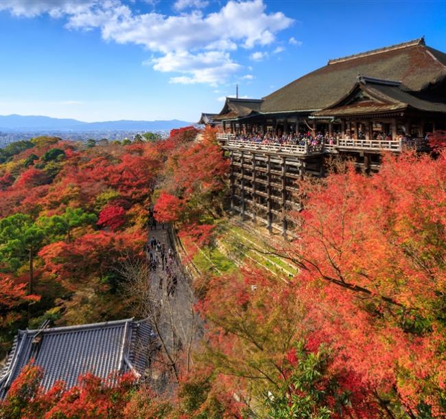 關西旅遊｜《漫遊古都》京都塔維諾斯酒店6天5夜自由行★樂桃航空★含稅．含20公斤行李｜高雄出發