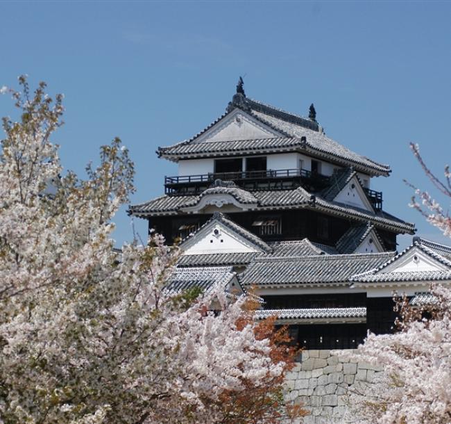 春櫻四國｜賞櫻名所～栗林公園.頓田川河堤畔櫻花.小豆島橄欖公園.採草莓五日｜台中出發