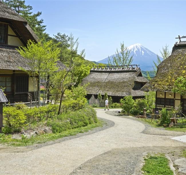 客製｜東京一晚星野.河口湖.根場合掌村.淺間神社迷你小團五日【專屬包車】天天出發※不含機票