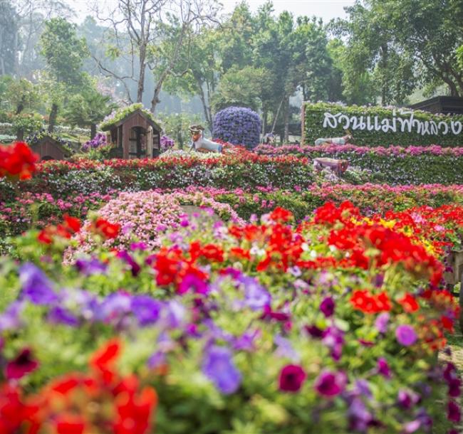 泰國清邁旅遊｜金三角天空步道.彩虹洞穴.南奔祕境.皇太后行宮.放天燈.無購物6日