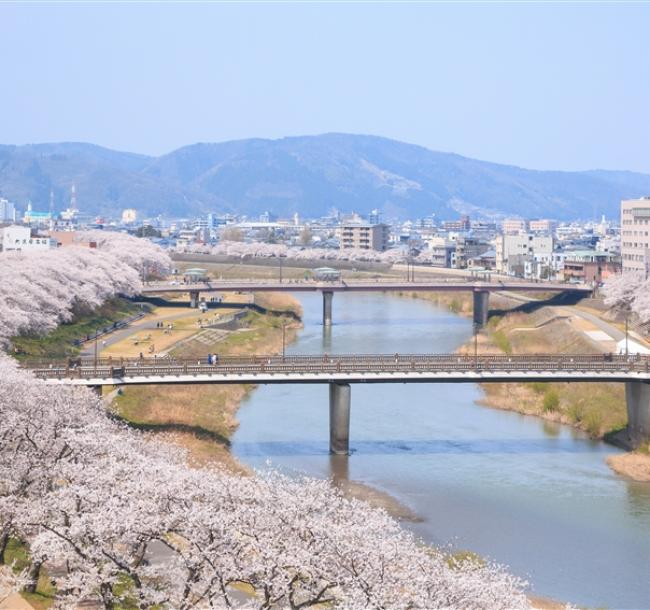 清明連休~北陸旅遊｜5大賞櫻名所~兼六園.丸岡城.松川賞櫻船.足羽川櫻花隧道.新穗高纜車.合掌村.甜蝦吃到飽五日｜不進店