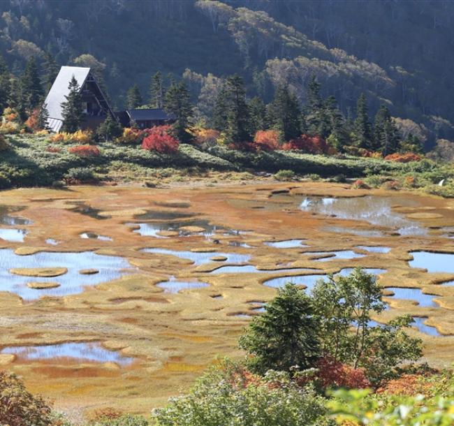 《主題旅遊》日本百名山～妙高山、火打山、上高地6日(含小費)