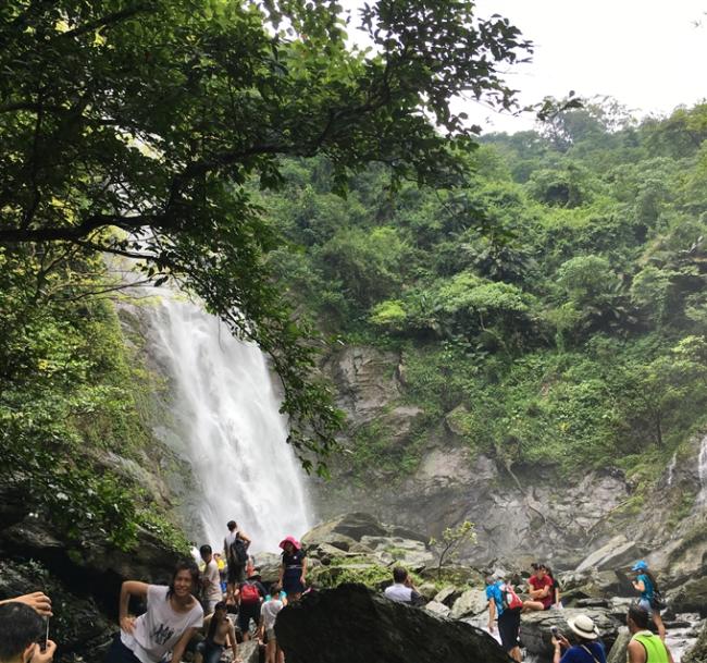 屏東旅行｜38女王節｜重新開放涼山瀑布步道．潮州粉嫩花旗木1日｜大人囝仔｜高雄出發