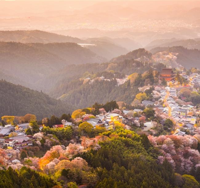 客製｜關西千本櫻~名所吉野山.造幣局.平野神社迷你小團五日【專屬包車】(天天出發)※不含機票