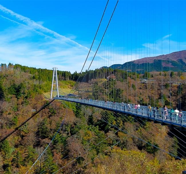 一起揪吧九州｜保住別府灣和藏.熊本城.九重夢吊橋.南阿蘇鐵道.兩晚溫泉五日|升等長腳蟹吃到飽