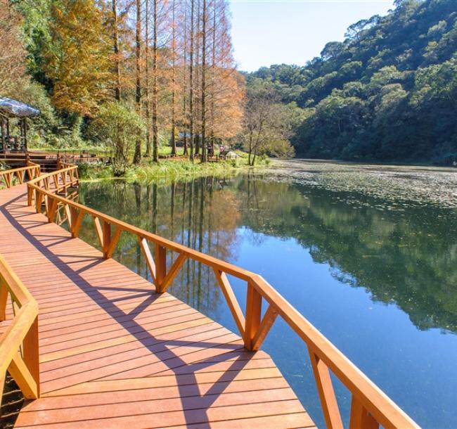 宜蘭旅遊｜早鳥-300．限額福山植物園．太平山森林蹦蹦小火車．原始林步道．日系北后寺．礁溪長榮生態2日｜大人囝仔