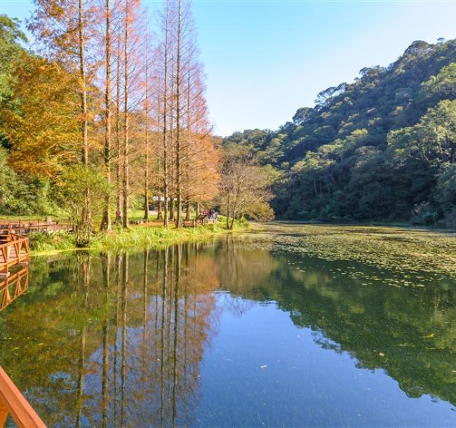 宜蘭旅遊｜浪漫甜點午茶列車－海風號｜動植物秘境天堂『福山植物園』.礁溪晶泉丰旅二日｜好享住奢華｜台中出發