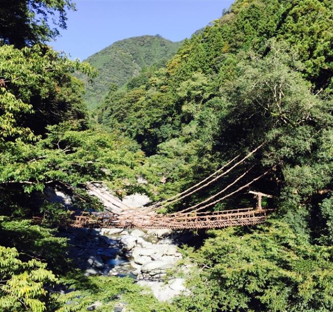 優惠選｜四國雙鐵道5日｜伊予灘夕陽列車&千年物語．季節採果趣．道後神隱少女湯屋｜高松進出四溫泉