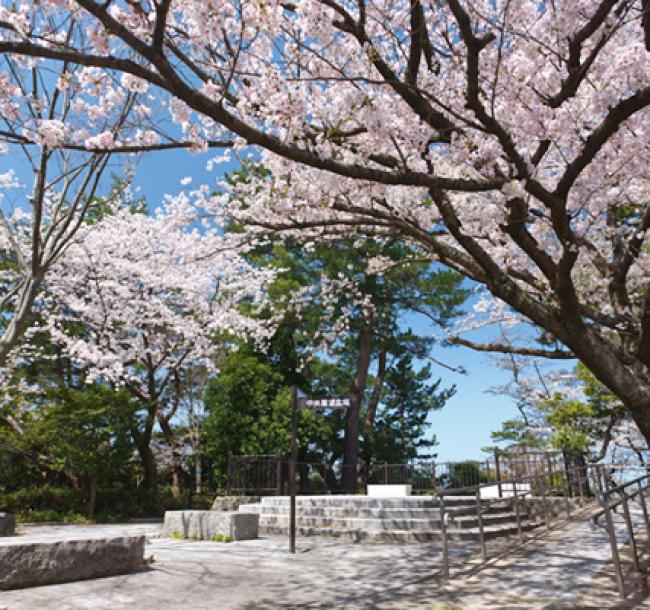 九州｜春櫻名所｜金麟湖~湯布院.宇佐神宮.黑川溫泉.和牛燒肉吃到飽.太宰府~旅人列車.溫泉五日|高雄直飛