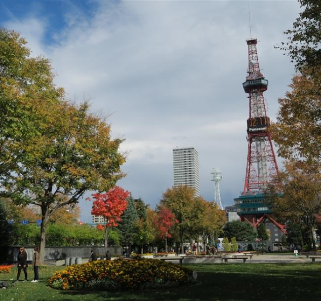 【主題旅遊】2025日本北海道馬拉松5日(奧運賽道、小樽運河、富田農場賞花)