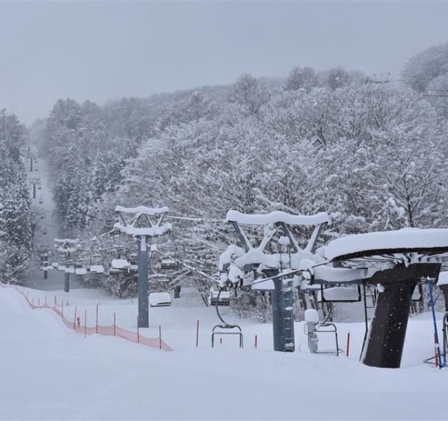 【主題旅遊】FUN_SKI滑雪趣_王子集團直營！東北三大雫石滑雪5日遊(仙台進出)