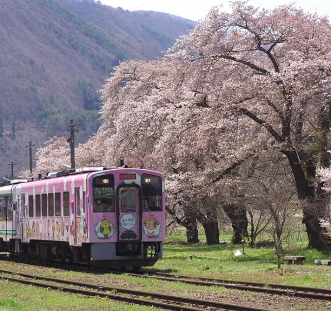 東北旅遊|百選賞櫻名所~會津若松城.會津鐵道.置賜回廊.三春瀧櫻.合掌村.東光酒藏.米澤牛餐.展望露天之湯有馬館溫泉五日