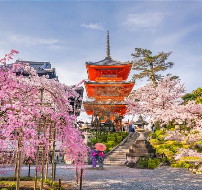 大阪旅遊｜春櫻京阪神~日本環球影城瑪利歐.醍醐寺.嵐山小火車.哲學之道.神戶水族館六日｜環球旁飯店｜高雄來回