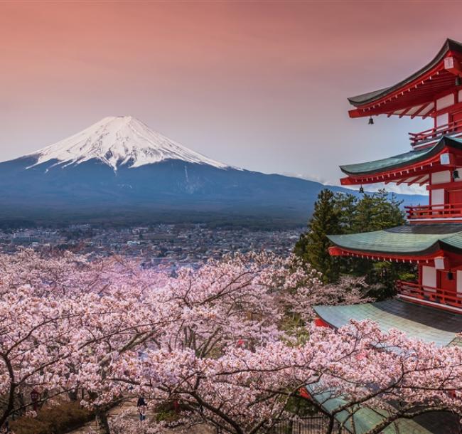 春櫻東京旅遊｜東京迪士尼.賞櫻百選.新倉淺間神社.淺草隅田川.三溪園.天晴號.橫濱纜車.和牛螃蟹美食五日