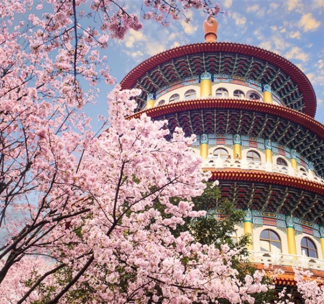 新北旅遊｜大人囝仔｜竹林山觀音寺參拜賞櫻、淡水天元宮賞櫻、奇觀貝殼廟、牛港稜步道二日遊｜高雄台南嘉義出發