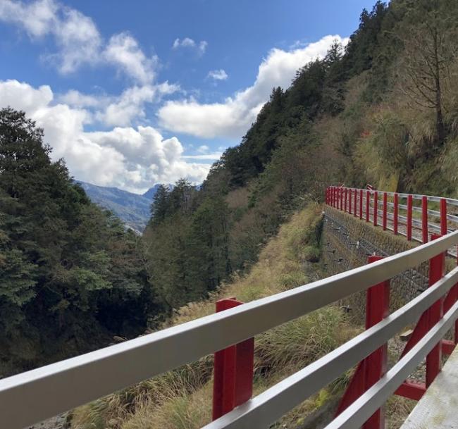 【四人成行/台灣觀巴】宜蘭～太平山國家森林遊樂區、見晴懷古步道、鳩之澤一日