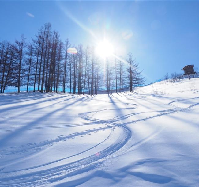 【主題旅遊】FUN_SKI滑雪趣－北海道自然風情富良野滑雪五日遊