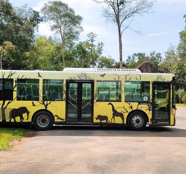 越南旅遊｜富國島.Safari野生動物園.珍珠樂園.跨海纜車.地中海小鎮浪漫親吻橋五日｜全程五星飯店.台中出發