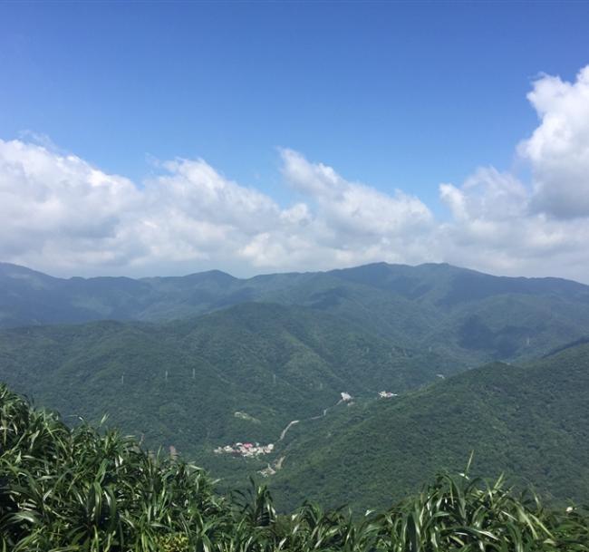 屏東旅遊｜藍皮解憂號.雙流森林.南迴秘境小站.部落導覽1日｜高雄屏東出發｜大人囝仔