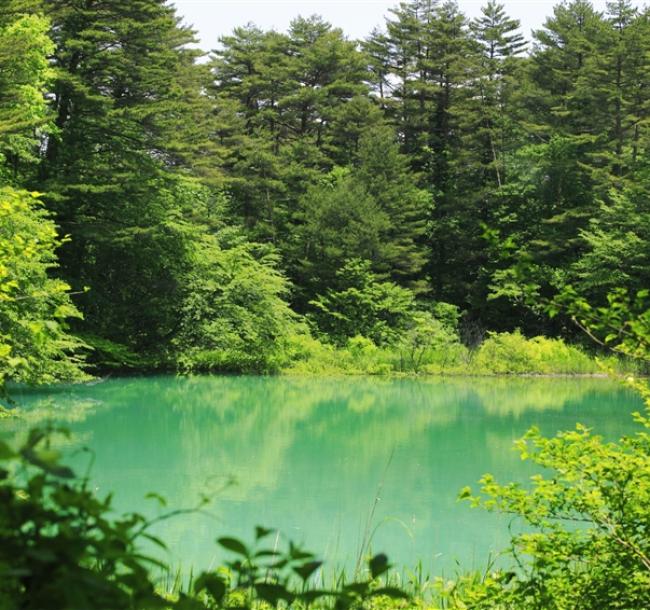 客製｜東北健走溫泉.塩原溪谷.五色沼.紅葉谷.那須纜車.迷你小團5日【專屬包車】※不含機票