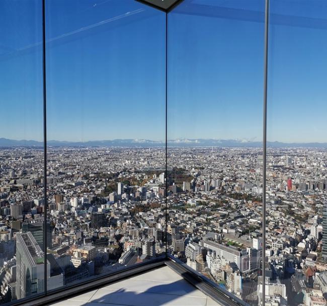 東京旅遊｜台灣虎航｜迪士尼.涉谷展望台.富士山纜車.御殿場OUTLET.新倉山淺間公園五日｜高雄來回