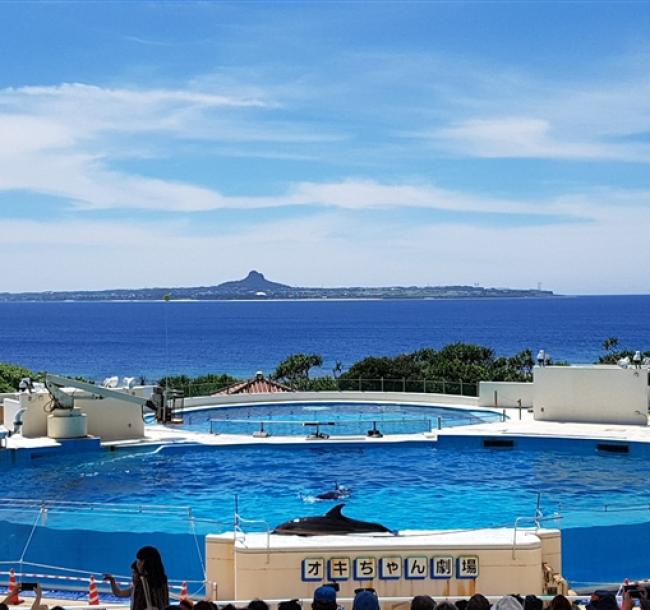 暑假預購折2000.沖繩旅遊｜美麗海水族館~海豚秀.系滿魚市場.北谷町美國村.一日自由活動四日｜台中出發