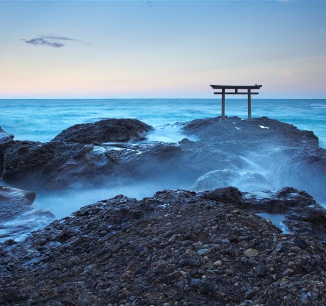 招財東京旅遊｜日立海濱公園.絕美海上鳥居.大洗水族館.迪士尼樂園四日【茨城】