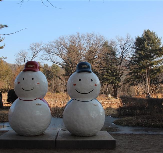 參團免小費｜首爾旅遊｜滑雪體驗.採果樂.抱川藝術谷.逛明洞_弘大_東大門五日