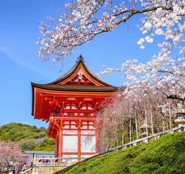 春櫻大阪旅遊｜特選團｜日本環球影城瑪利歐.醍醐寺.哲學之道.紀三井寺.黑潮市場五日｜螃蟹吃到飽｜高雄來回