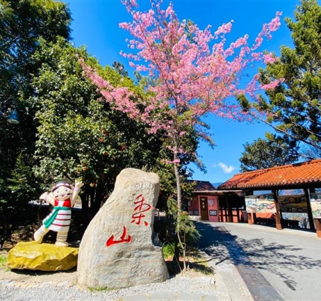 第二人折500｜台中宜蘭旅遊｜高山農場~武陵/福壽山戀夏避暑賞花趣.棲蘭森呼吸.三星拔蔥趣.梅花湖.梨山賓館三日