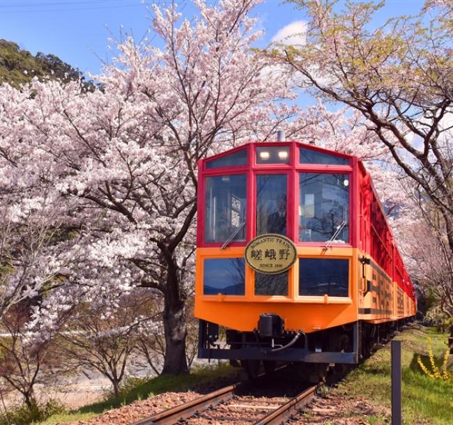 大阪旅遊｜春櫻京阪奈~日本環球影城瑪利歐.嵐山小火車.哲學之道.和服體驗五日｜環球旁飯店｜高雄來回