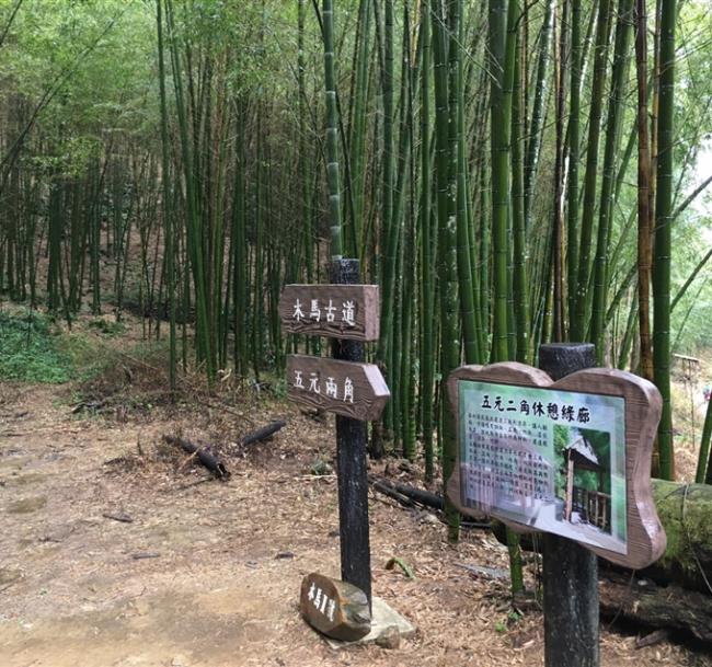 嘉雲旅遊｜櫻花祭｜秘境寒溪呢森林人文叡地.台版小京都嵐山竹林一日｜中部出發