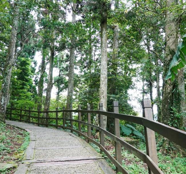 北桃旅遊｜百大亮點｜慈湖紀念公園.東眼山國家森林區.福華渡假飯店晚餐二日｜中部出發