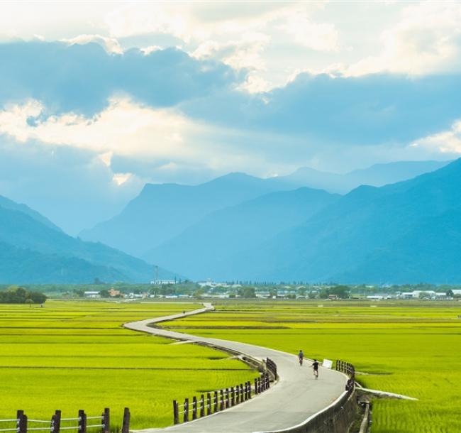 鐵道旅遊｜金城武伯朗大道×池上單車.櫻木花道平交道.華源海灣觀景.縱谷兩日｜兩人成行.台北高雄出發