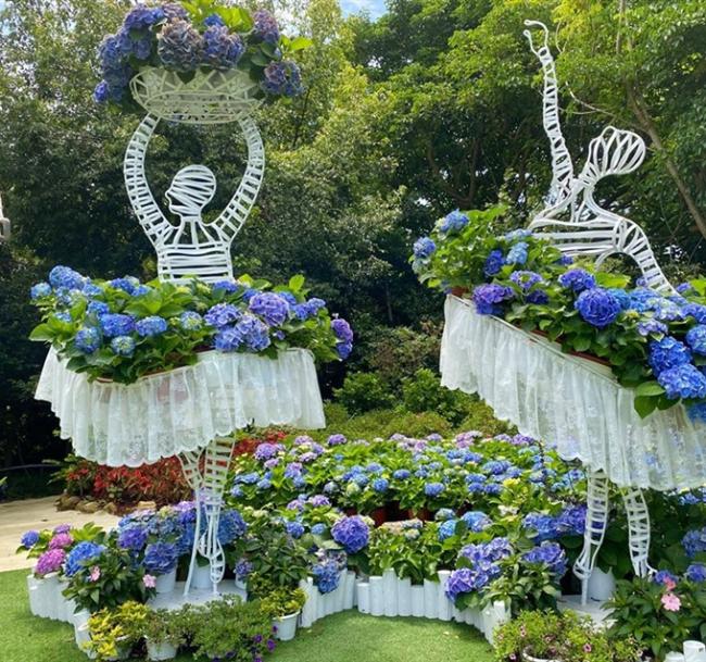 新竹旅遊｜十八尖山桐花步道.苗栗花露農場繡球花.內灣老街.湖濱煙波酒店二日｜中部出發