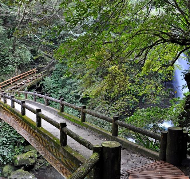 新北旅遊｜走入山林~三峽滿月圓森林遊樂區森呼吸.白雞行修宮.新北客家文化園區1日