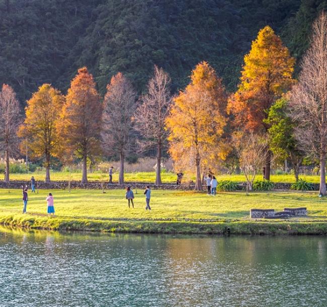 宜蘭旅遊｜四季好拍蜊埤湖.南方澳漁港.珍奶文化館.羅東運動公園落羽松一日