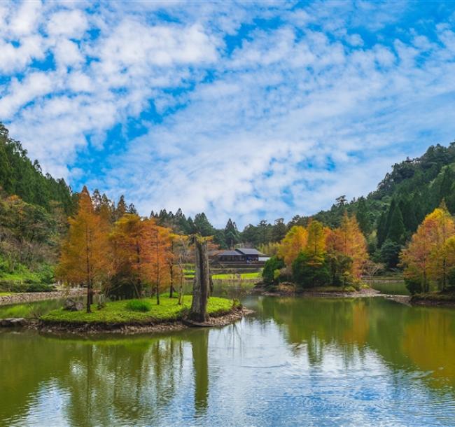 入住明池山莊│武陵農場櫻花季│第二人折500~新年山上走春．漫步仙境宜蘭二日