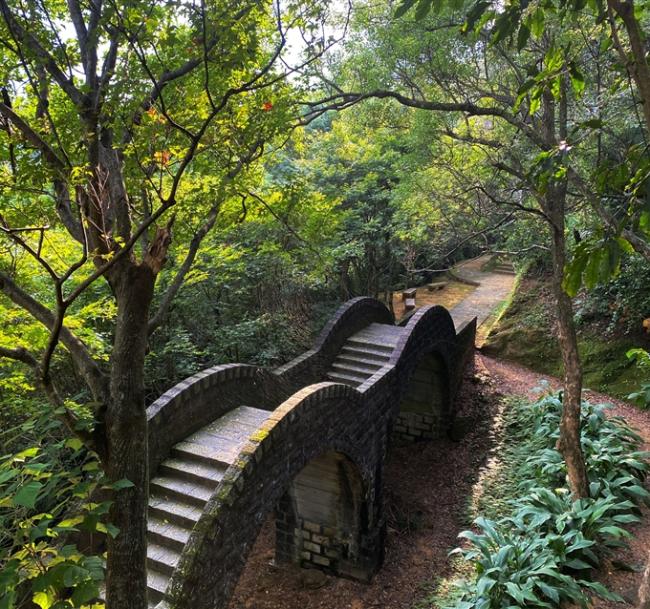 宜蘭旅遊|拱北殿賞楓紅．羅東落羽松祕境．採金棗．特色金棗餐1日|大人囝仔