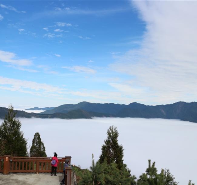 【天天出發】新竹旅遊｜◎雪霸休閒農場◎雲端上的觀霧◎雲霧步道◎野馬瞰山2日（一人成行）