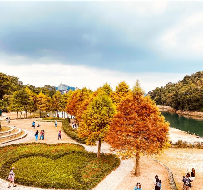 南投旅遊｜向山絕美落羽松.雙心花園.漫遊水社.陶的故鄉~水里蛇窯1日｜高雄出發