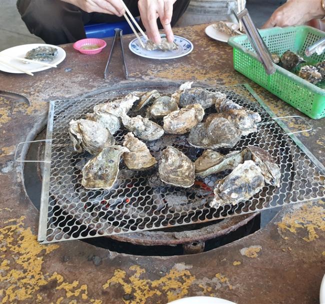 台南旅遊｜七股濕地觀光漁筏導覽烤蚵.七股遊客中心.國華街.藍晒圖文化園區1日｜高雄出發