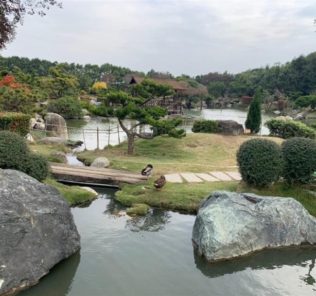 彰化｜台灣優格餅乾學院.澄霖味道森林館.庶民美食～鹿港老街一日｜高雄出發