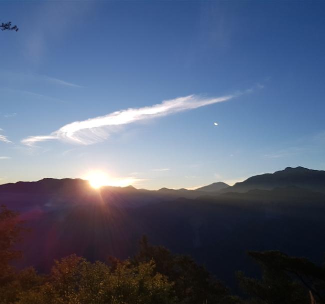 嘉義旅遊｜2025阿里山跨年.祝山小火車看日出.最美落羽松歐風城堡.入住園區二日